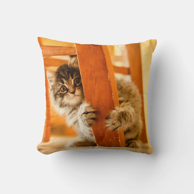 Coussin Kitty sous la chaise (Recto)
