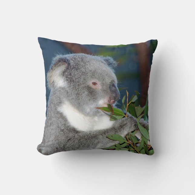 Coussin Koala affamé (Recto)