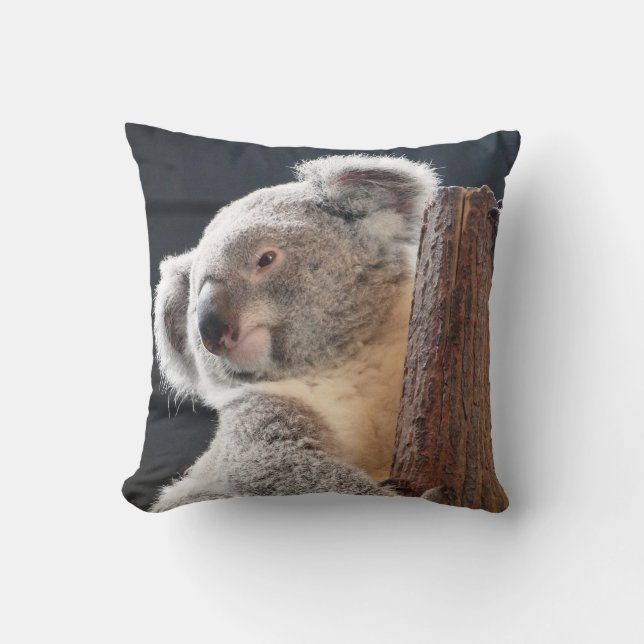 Coussin Koala australien (Recto)