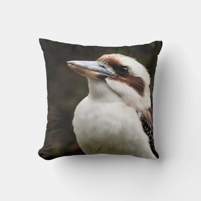 Coussin Kookaburra (Recto)