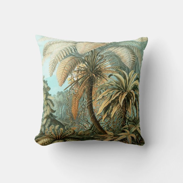 COUSSIN KUNSTFORMEN CLASSIQUE DER NATUR ILLUSTRATION VINTA (Recto)