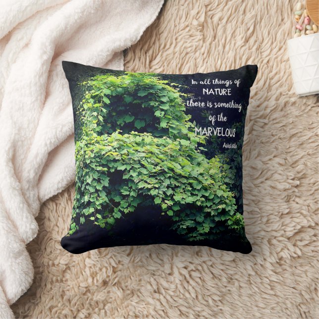 Coussin La Beauté Dans La Nature Vine Citation Inspirante (Couverture)