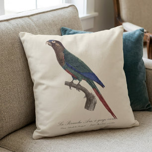 Coussin La conure emmaillotée, Pyrrhura Picta