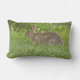 Coussin : La douceur de vie