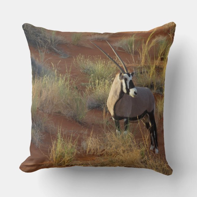 Coussin La faune africaine Oryx Antelope Dune Savannah (Recto)
