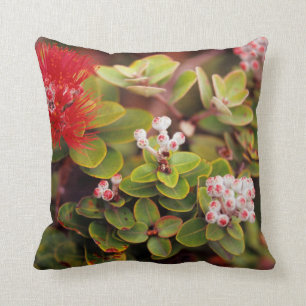 Coussin La Lehua S'Éclate Dans Les Volcans D'Hawaï