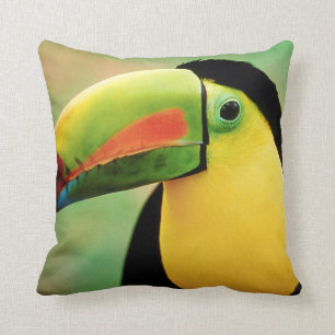 Coussin La nature sauvage des oiseaux du Toucan