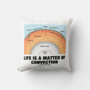 Coussin La vie est une question de convection Humour de sc