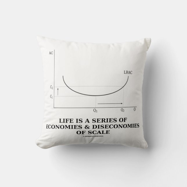 Coussin La Vie Est Une Série D'Économies Et De Déséconomie (Recto)