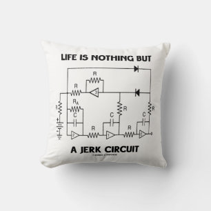 Coussin La vie n'est rien mais un humour de physique de