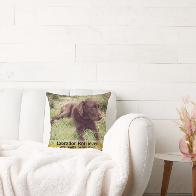 Coussin Laboratoire de chocolat en Californie Pavot photo (Canapé)