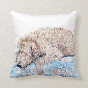Coussin Labradoodle somnolent