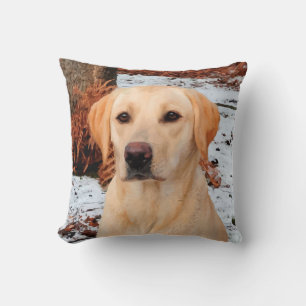 Coussin Labrador jaune - Chien à neige - Laboratoire jaune