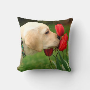 Coussin Labrador jaune - Prenez du temps