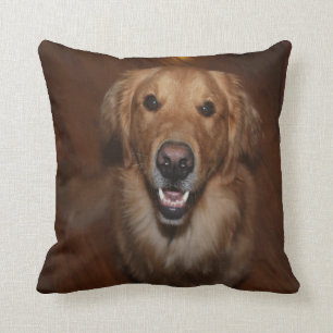 Coussin Labrador retriever