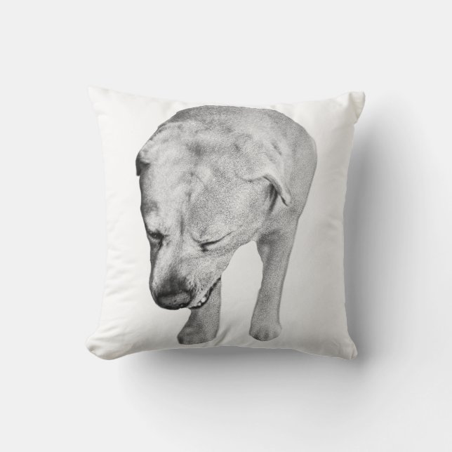 Coussin Labrador Velours Tone, Gazon doux (Recto)