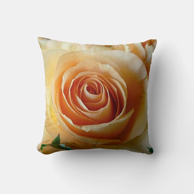 Coussin L'abricot s'est levé (Recto)