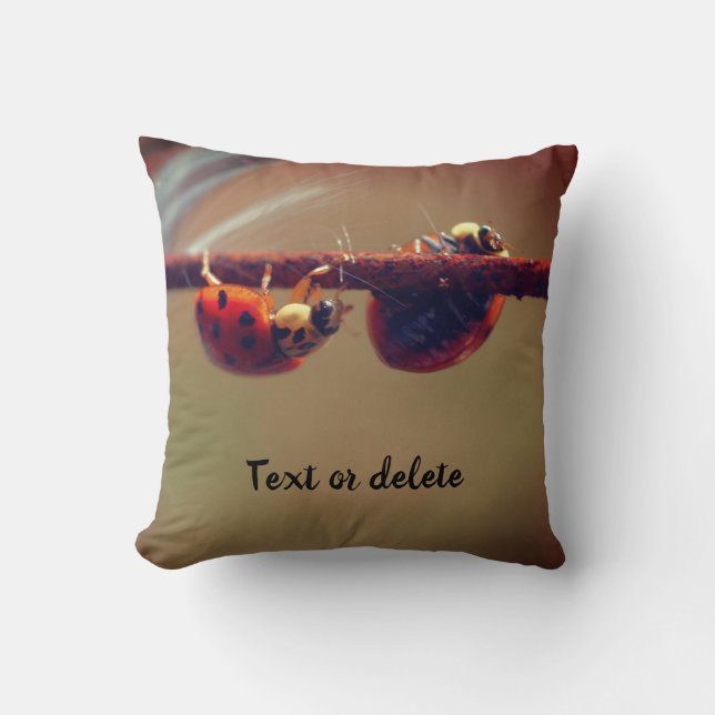 Coussin Ladybugs Balancing Personnalisé (Recto)