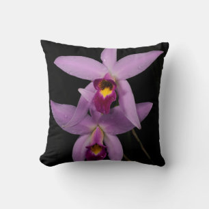 Coussin Laelia Anceps