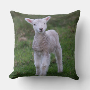 Coussin Lamb Bébé Mouton ferme animal