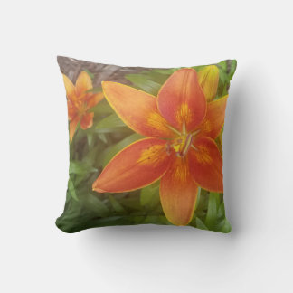 Coussin Lancer l'oreiller