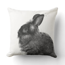 Lapin de Lionhead