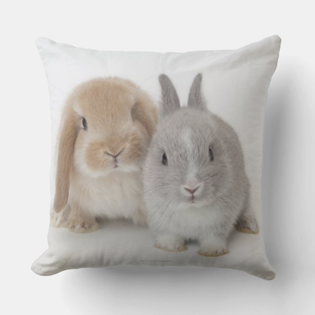 Coussin Lapins de nain et de la Hollande Lop de deux (Recto)