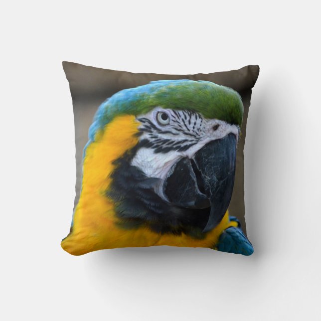 Coussin l'ara de bleu et d'or parrot la vue principale c (Recto)
