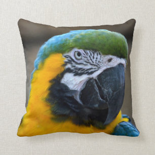 Coussin l'ara de bleu et d'or parrot la vue principale c
