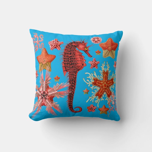 COUSSIN LE CHEVAL DE MER ROUGE ET LES SAISTAIRES EN AQUA B (Recto)