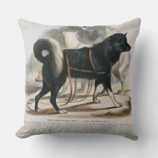 Coussin Le chien d'Esquimaux (familiaris de Canis) I (Recto)