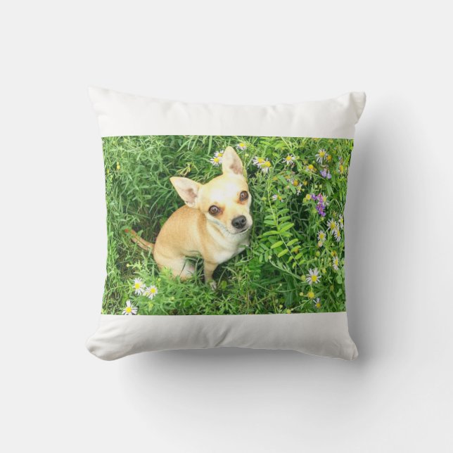 Coussin le chihuahua blanc lance oreiller. (Recto)