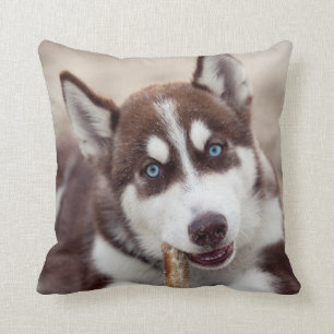 Coussin Le chiot sibérien Husky à la plage