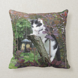 Coussin Le grignoteur