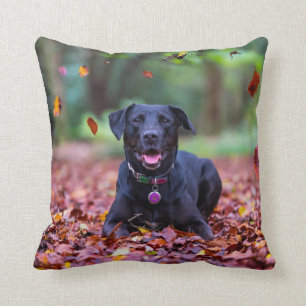 Coussin Le Labrador Noir Dans Les Feuilles D'Automne