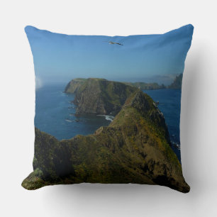 Coussin Le point d'inspiration d'Anacapa I dans les îles d