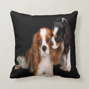 Coussin Le Roi Charles Cavalier Spaniel