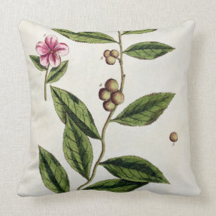 Coussin Le thé vert, plaquent 351 "d'un de fines herbes