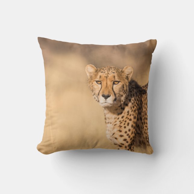 COUSSIN LEOPARD PORTRAIT (Recto)