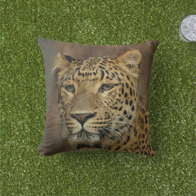 Coussin Les amateurs de léopard (Herbe)