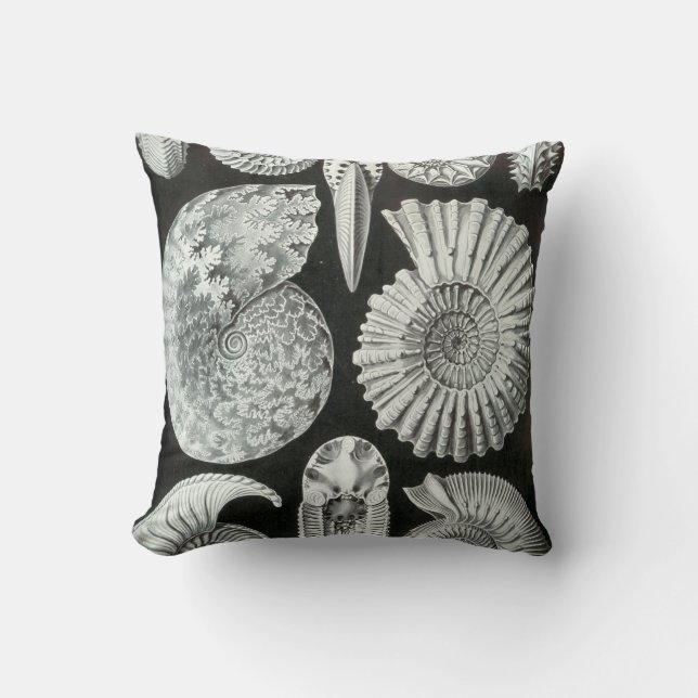Coussin Les Ammonites d'Ernst Haeckel (Recto)