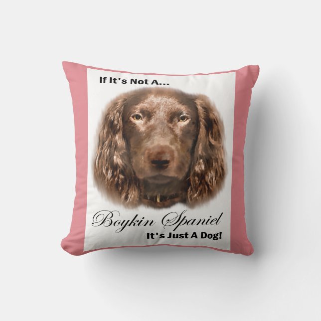 Coussin Les cadeaux d'Espagne de Boykin (Recto)