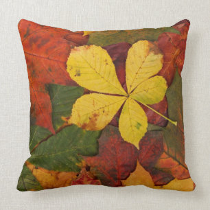 Coussin Les Feuilles De Chute Rustiques Couvrent Le Sol