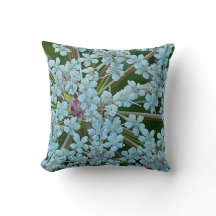 Les fleurs blanches de dentelle de la reine Anne