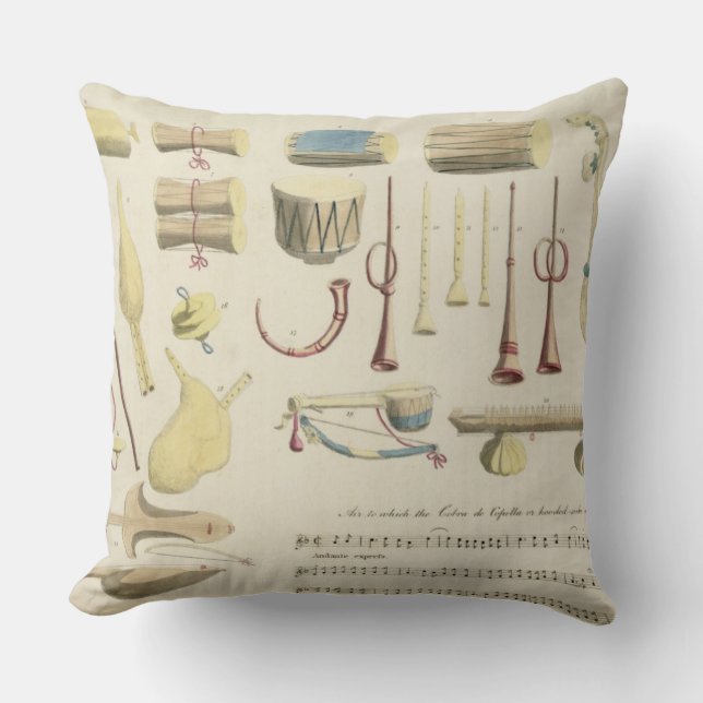 Coussin Les instruments de musique indiens, plaquent 23 de (Recto)