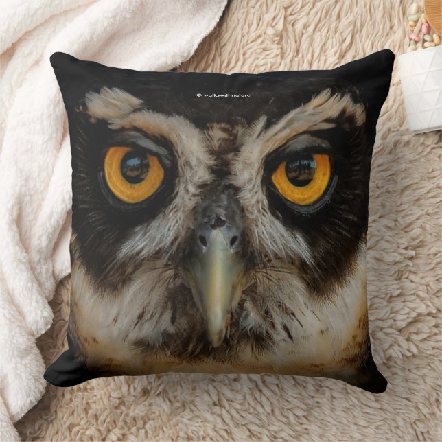 Coussin Les yeux dorés d'une chouette spectaculaire (Couverture)