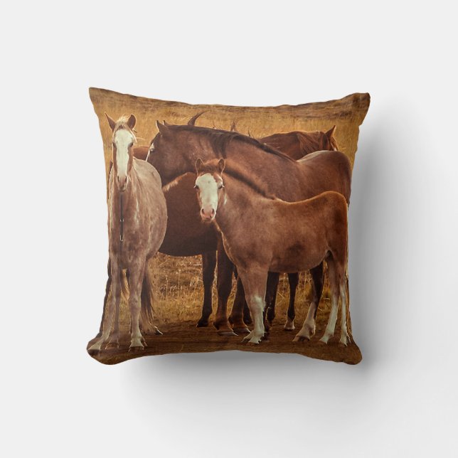 Coussin L'esprit de la Patagonie sauvage (Recto)