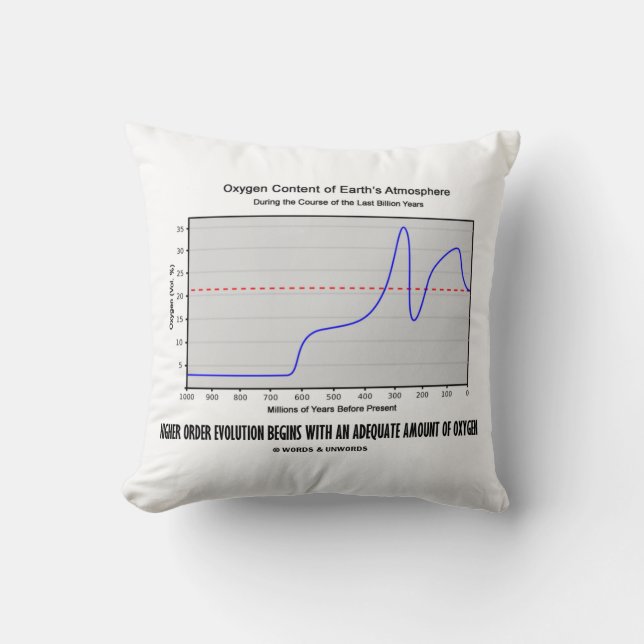 Coussin L'Évolution De L'Ordre Supérieur Commence À Avoir  (Recto)