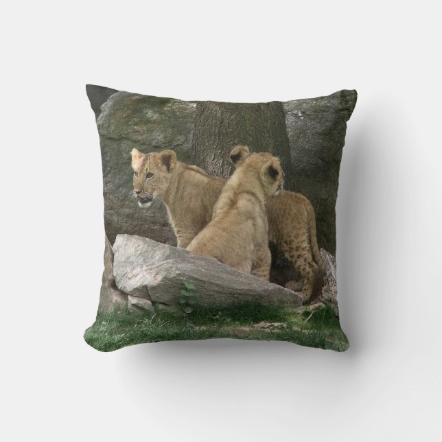 Coussin l'explorant de CUB de lion (Recto)