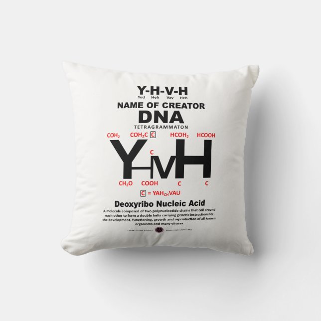 Coussin Liaison chimique YHVH-DNA (Recto)